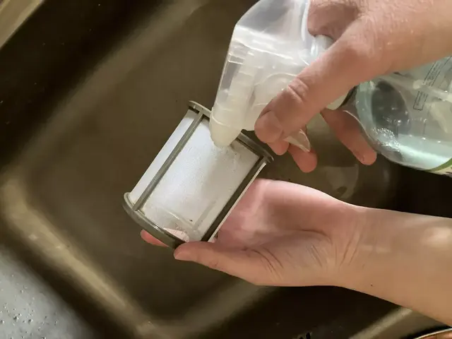 Wenn ein Geschirrspüler nach Fisch und faulen Eiern oder nach Abfluss riecht, sollte man schnell handeln, da Pilze und Bakterien die Gesundheit belasten können. Eine Sprühflasche hilft dabei, das Sieb gründlich zu reinigen.  | Foto: Stephanie Walter