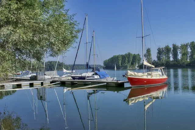 Teile des Rhein-Pfalz-Kreises liegen direkt am Rhein. Hier zu sehen ein Schnappschuss aus Otterstadt von Wochenblatt-Reporter Georg Walter. Auch hier wird das Kennzeichen RP geführt. | Foto: Georg Walter