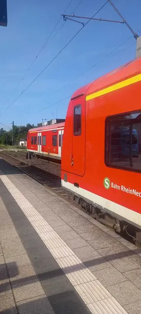 S3 kreuzt in Rheinzabern | Foto: Klaus Hölderich