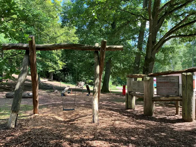 Der Waldspielplatz "Furchsbau" fügt sich in die Natur ein | Foto: Stephanie Walter