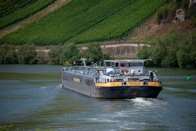 In Rheinland-Pfalz und dem Saarland scheint in den kommenden Tagen wieder häufiger die Sonne. (Symbolbild) | Foto: Harald Tittel/dpa