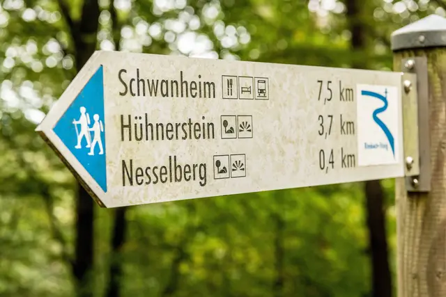 Die Urlaubsregion ist ein Paradies für Wanderer. | Foto: Pfalz-Touristik/Dominik Ketz
