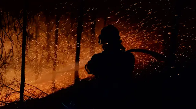 Aus der Asche – Was kommt nach dem Waldbrand?: Löscharbeiten nach einem Waldbrand stehen für die Frage, wie sich betroffene Waldflächen später erholen. | Foto: MDR/Capricornum Film/Ustecke