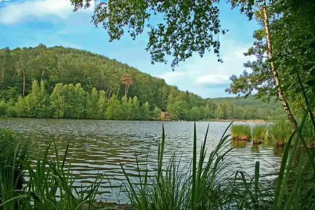 Badeseen Pfalz: Der Gelterswoog ist ein großer Stausee in der Westpfalz | Foto: Stadt Kaiserslautern