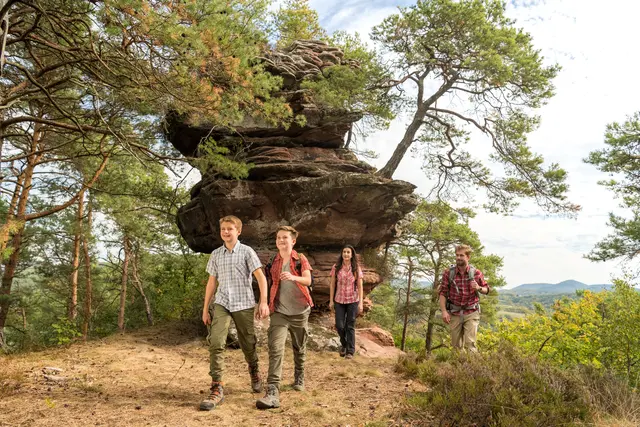 In der NaturErlebnis-Urlaubsregion Hauenstein können Wanderer weiterhin über mehrere Wanderwege auf Premium-Niveau gehen. | Foto: Pfalz-Touristik/Dominik Ketz