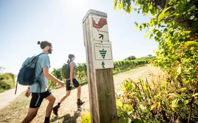 Damit Markierungen stimmen und Wege frei bleiben, kontrollieren Ehrenamtliche regelmäßig die Abschnitte im Pfälzerwald. | Foto: CC-BY-SA Pfalz Touristik, Dominik Ketz