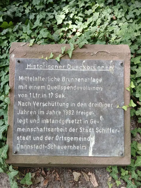 Foto: Gunter Bohrer