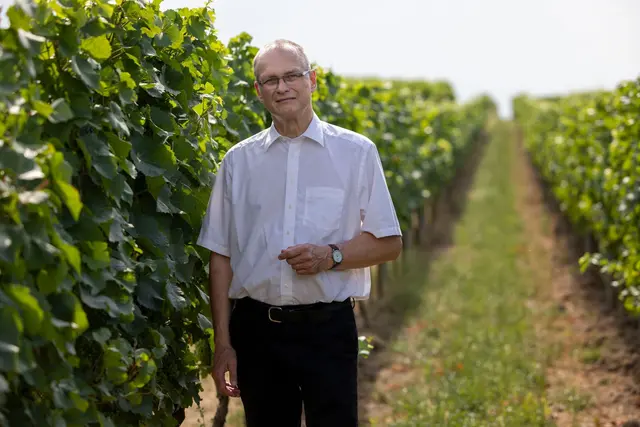 Der pensionierte Pfarrer Tobias Kraft kennt sich mit Rheinhessen und Wein aus.  | Foto: Helmut Fricke/dpa