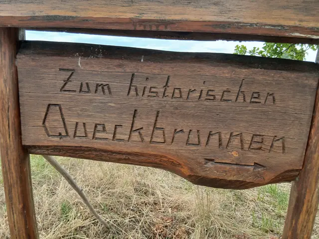Foto: Gunter Bohrer