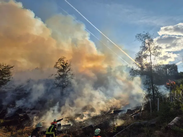 Nach dem größeren Waldbrand im Kreis St. Wendel hat sich die Lage laut Feuerwehr beruhigt. (Archivbild) | Foto: Florian Blaes/dpa