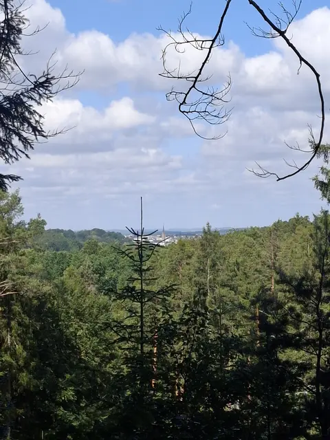 Dito | Foto: ich