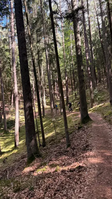 Stiftswaldpfad | Foto: einer wirds gewesen sein