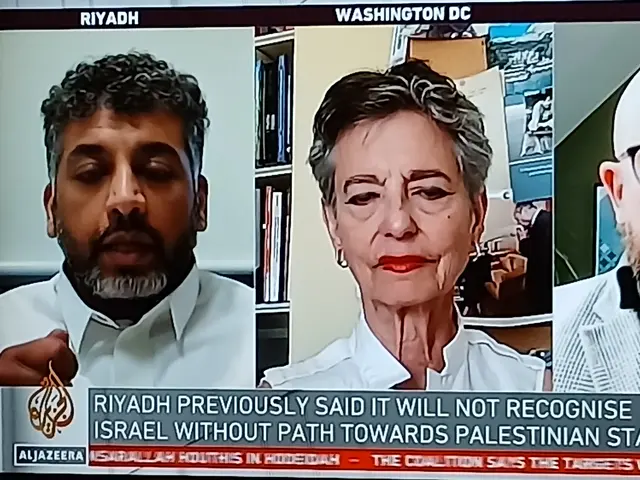 ALJAZEERA  am Fr 24. Juli 2024:
vernünftig-zukunftsorientierte Positionierung des Vertreters aus RIYADH | Foto: ELISABETH  WEBER