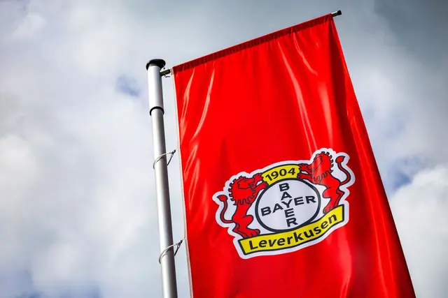 Bayer Leverkusen hat den Außenverteidiger Luca Erlein von der TSG Hoffenheim verpflichtet. (Symbolbild) | Foto: Christoph Reichwein/dpa