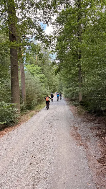 Waldautobahn🤨 | Foto: irgendeiner
