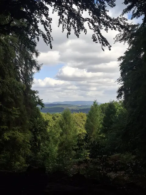 Blick zum Donnersberg vom kleinen Humberg aus | Foto: ich