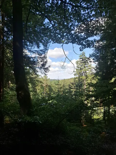 Blick auf Kaiserslautern  | Foto: ich