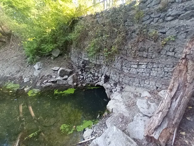 Wegen Schäden an der Schwergewichtsmauer muss der Wirtschaftsweg am Hörnel-Altrhein instand gesetzt werden. | Foto: Stadt Wörth am Rhein