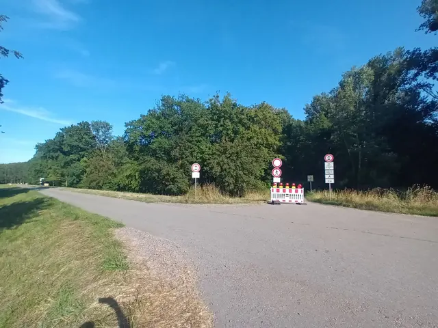 Der Wirtschaftsweg zwischen Rheinhauptdeich und Rheinufer am Hörnel-Altrhein in Wörth ist bis auf Weiteres gesperrt. | Foto: Stadt Wörth am Rhein