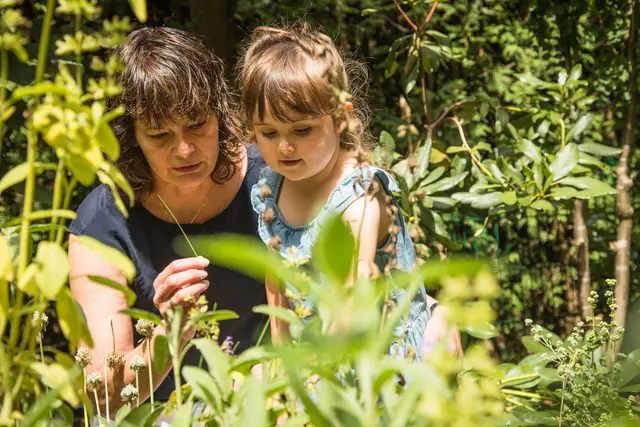 Wer ein kleines Kind mit Entdeckungslust hat, sollte genau prüfen, welche Pflanzen im Garten einziehen. | Foto: Christin Klose/dpa-mag