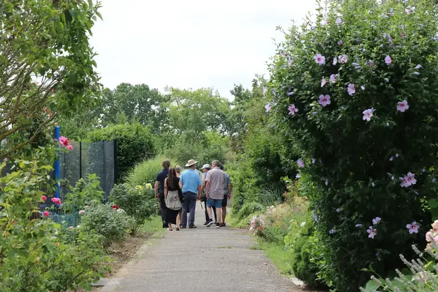 Zwischen Blumen, Beeten und Gartenwegen: Mannheims Kleingartenanlagen gelten als grüne Rückzugsorte mitten in der Stadt. | Foto: Stadt Mannheim