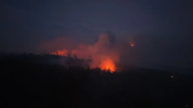 Ihre erste Bewährungsprobe bestand die DRK-Landesverstärkung beim Waldbrand in Traisen, wo sie unter anderem mit Logistik und Drohnentechnik die Einsatzkräfte vor Ort unterstützte | Foto: Kevin Schößler/dpa