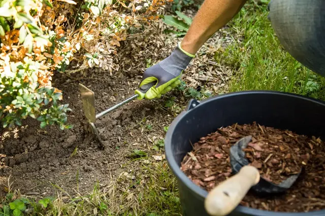 Eine Mulchschicht schützt den Boden vor Austrocknung und starker Sonneneinstrahlung. (zu dpa: «Sonnenschäden im Garten: So schützen Sie Ihre Pflanzen») | Foto: dpa