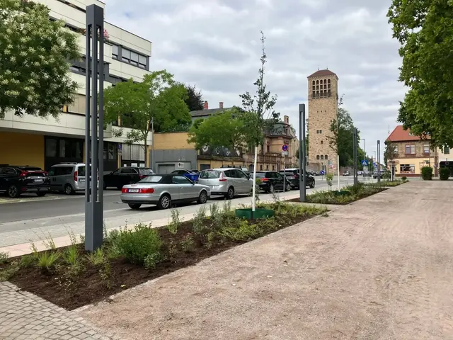 Wer über den St.-Guido-Stifts-Platz geht, sieht im Westteil jetzt neue Beete und frisch gepflanzte Bäume. | Foto: Stadt Speyer
