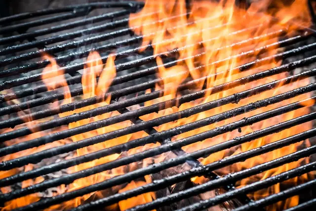 Am Eisweiher ist Picknicken weiter erlaubt, aber Grillen bleibt wegen der Trockenheit verboten. | Foto: Stadt Pirmasens