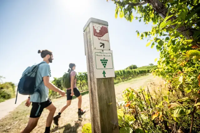 Wer im Pfälzerwald wandert, verlässt sich auf klare Markierungen und gepflegte Wege. | Foto: Pfalz Touristik, Dominik Ketz