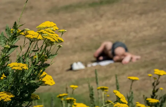 Richtig heiß wird es in den kommenden Tagen. (Archivbild) | Foto: Andreas Arnold/dpa