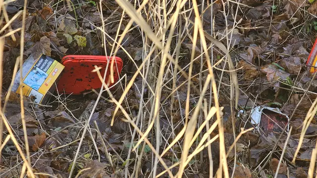 Haßloch meldet eine deutliche Zunahme illegaler Müllablagerungen. Besonders betroffen sind Feldwege, Grünflächen und Plätze neben Containern.
 | Foto: Eva Bender