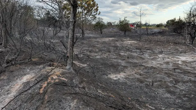 Nach einem größeren Brand kann es in der Umgebung noch eine Zeit lang nach Rauch riechen. | Foto: Stadt Mannheim