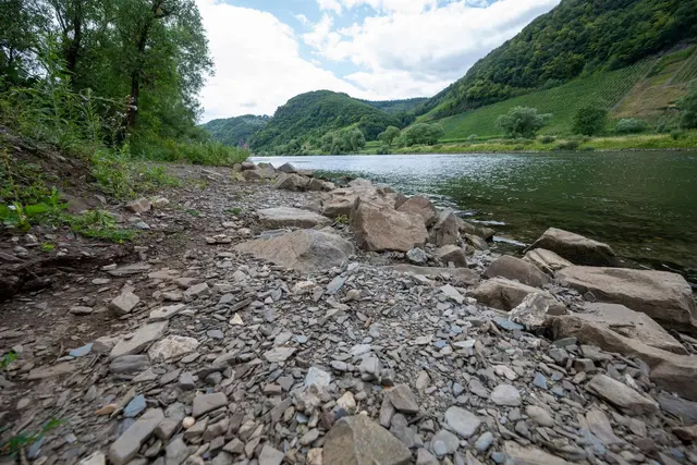 Viele Gewässer in Rheinland-Pfalz führen zurzeit deutlich weniger Wasser. (Archivbild) | Foto: Harald Tittel/dpa