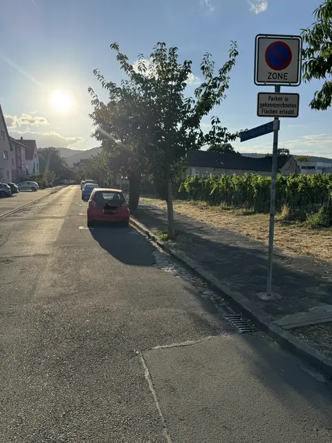 Foto: (C) Alexander Fritz