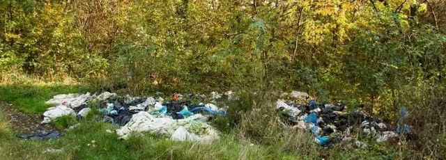 Haßloch meldet eine deutliche Zunahme illegaler Müllablagerungen. Besonders betroffen sind Feldwege, Grünflächen und Plätze neben Containern. | Foto: Gemeinde Haßloch