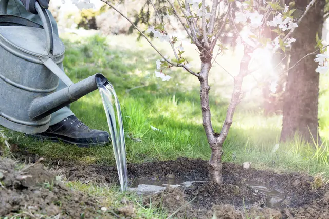Bei Hitze sollen die Menschen besonders sorgsam mit Wasser umgehen. | Foto: Sonja Birkelbach/stock.adobe.com