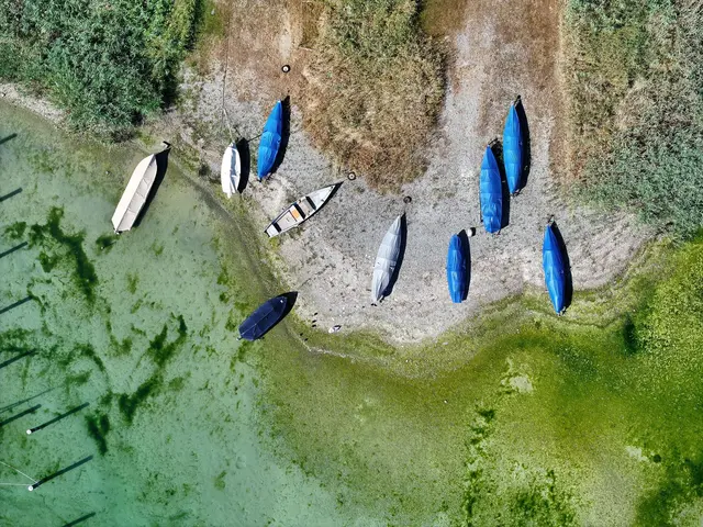 Am Bodensee wird die Trockenheit deutlich sichtbar. (Archivbild) | Foto: Felix Kästle/dpa