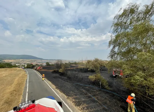 Ein Flächenbrand an der K43 zwischen Börrstadt und Sippersfeld hat am Donnerstag rund 23.000 Quadratmeter Wiesen, abgeerntete Felder und Obstbäume erfasst. 58 Feuerwehrleute aus drei Verbandsgemeinden waren mit 17 Fahrzeugen im Einsatz. | Foto: Polizeiinspektion Rockenhausen