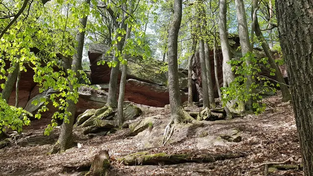 Das Felsenmeer im Pfälzerwald ist ein Paradies für kleine und große Abenteurer. | Foto: Eva Bender 