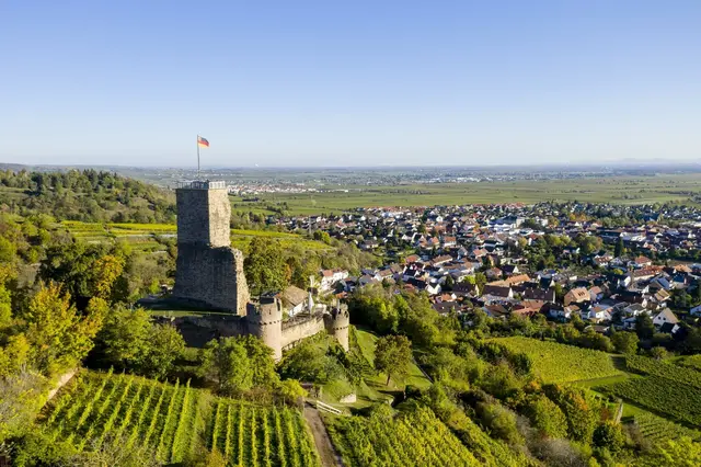 Panorama der Pfälzer Landschaft zwischen Wald und Reben mit Blick vorbei an der Burgruine Wachtenburg oberhalb von Wachenheim über das Rebenmeer und die Rheinebene hinauf zum Pfälzerwald. | Foto: Simon Stobbe