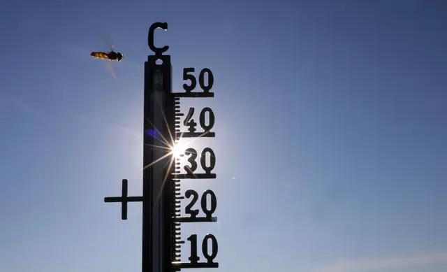 Die hohen Temperaturen der letzten Wochen haben im Südwesten Schätzungen zufolge auch zu vielen Todesfällen geführt. (Symbolfoto) | Foto: Thomas Warnack/dpa