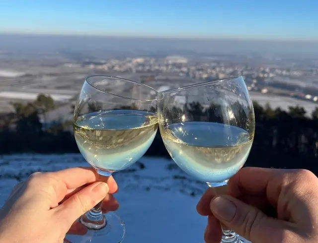 Auf dem Dach des Friedensdenkmals lässt es sich nach einer Tour auch mal mit einem Gläschen Pfälzer Wein auf den schönen Ausblick auf Edenkoben anstoßen. | Foto: Janni Limberger