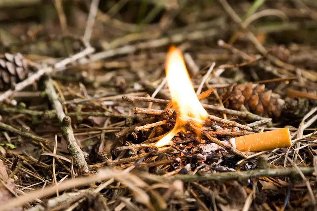 An der L598 zwischen Walldorf und Sandhausen brannte am Mittwoch ein Lagerfeuer auf einem Feldweg. Eine Passantin und die Feuerwehr verhinderten laut Polizei bei hoher Waldbrandgefahr offenbar Schlimmeres. | Foto: tech_studio/stock.adobe.com