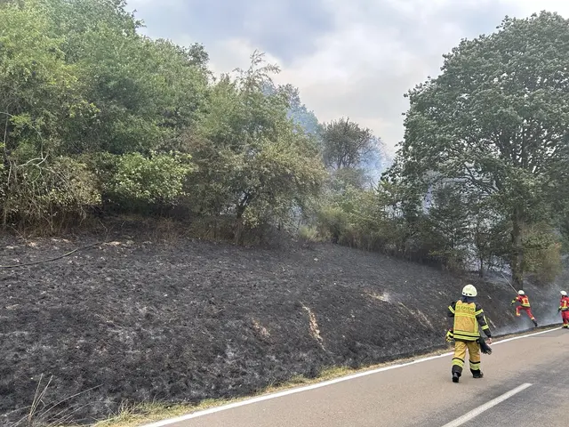 Mehrere Flächenbrände haben die Feuerwehr am Donnerstag bei Quirnbach gefordert. Entlang der L352 brannte eine rund 2,5 Hektar große Fläche, die Straße blieb wegen der Löscharbeiten voll gesperrt. | Foto: Polizeiinspektion Kusel und Polizeiwache Schönenberg-Kübelberg