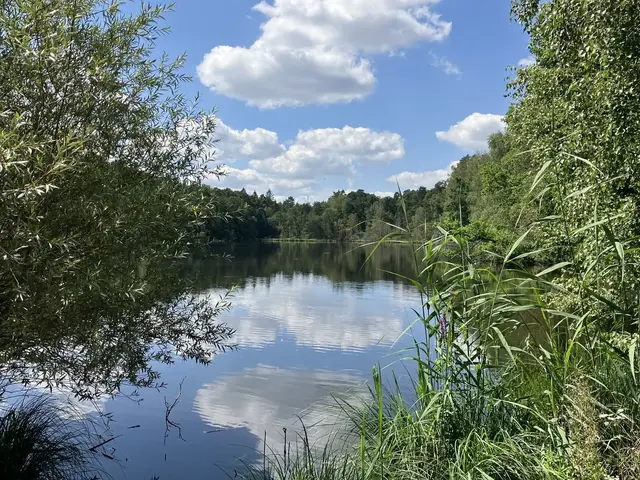 Egal ob entspannter Spaziergang, Wanderung mit der Familie oder Sport: Am Vogelwoog kann man die Schönheit der Pfalz entdecken | Foto: Stephanie Walter