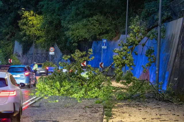 In Stuttgart fielen einige Bäume um - die Feuerwehr hatte dutzende Einsätze.  | Foto: Daniel Kessler/onw-images/dpa