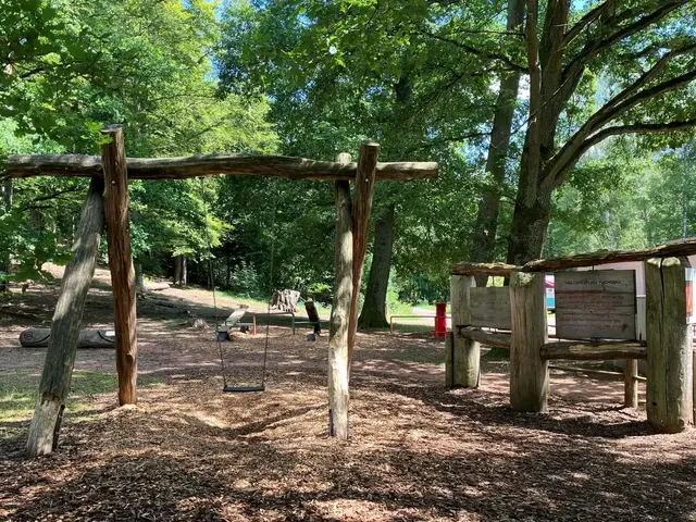 Der Waldspielplatz "Furchsbau" fügt sich in die Natur ein | Foto: Stephanie Walter