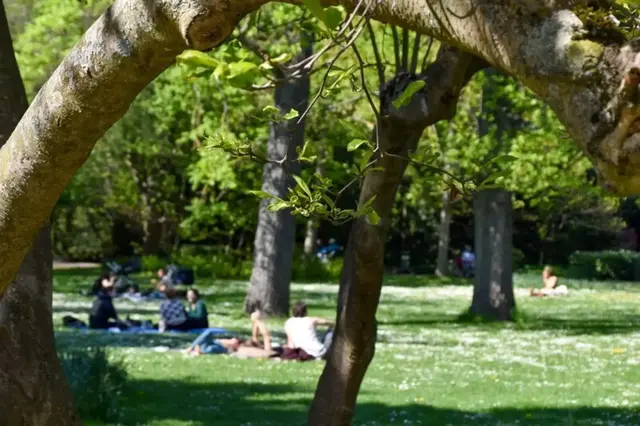 Bei Temperaturen bis 38 Grad suchen viele Menschen in Landau Schatten, Wasser und etwas Abkühlung | Foto: Stadt Landau