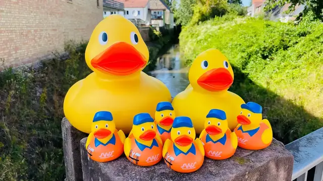 Die Stadtwerke Speyer verbinden das Entenrennen beim Altstadtfest mit einer Mitmach-Aktion auf der Speyer Crowd. | Foto: SWS